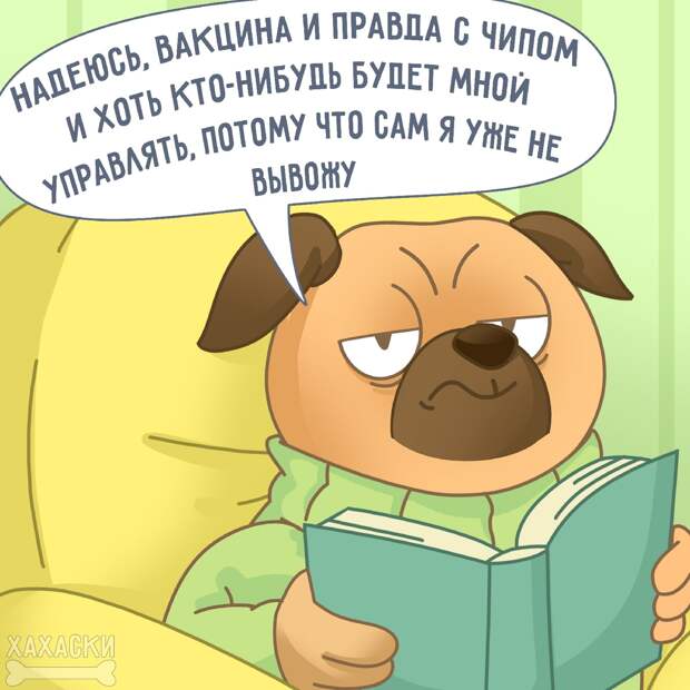 Юмор из интернета 598