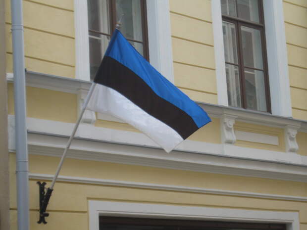Премьер Эстонии Каллас сообщила, что поддержке Украины мешает страх