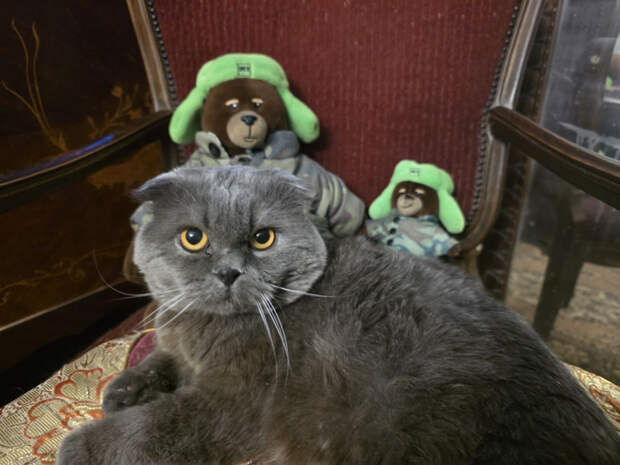 Лаврентий поздравляет с Новым Годом