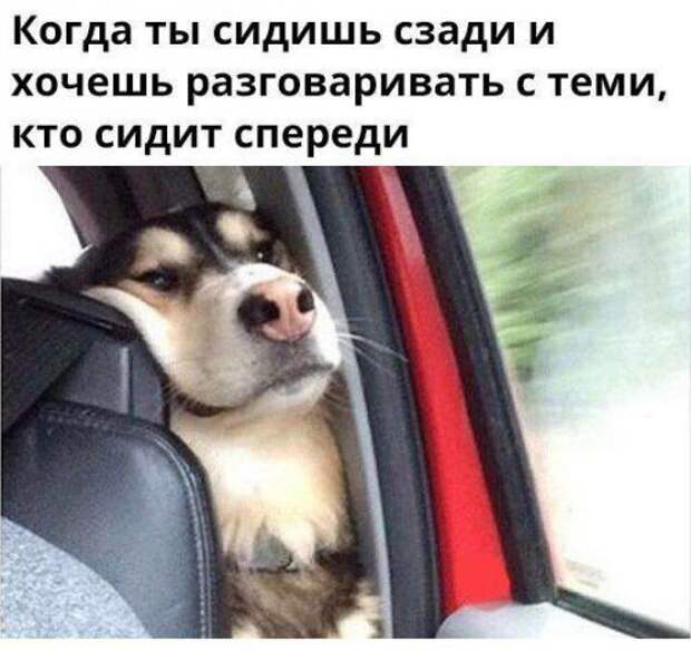 Шикарные приколы в стиле "Когда..."