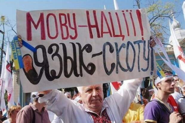 Русскоязычный – значит вор, подлец, враг?