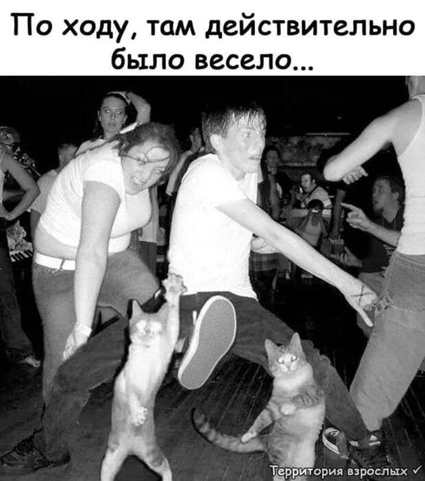20 классных анекдотов и шуточек и всяких забавностей в картинках для чудесного настроения