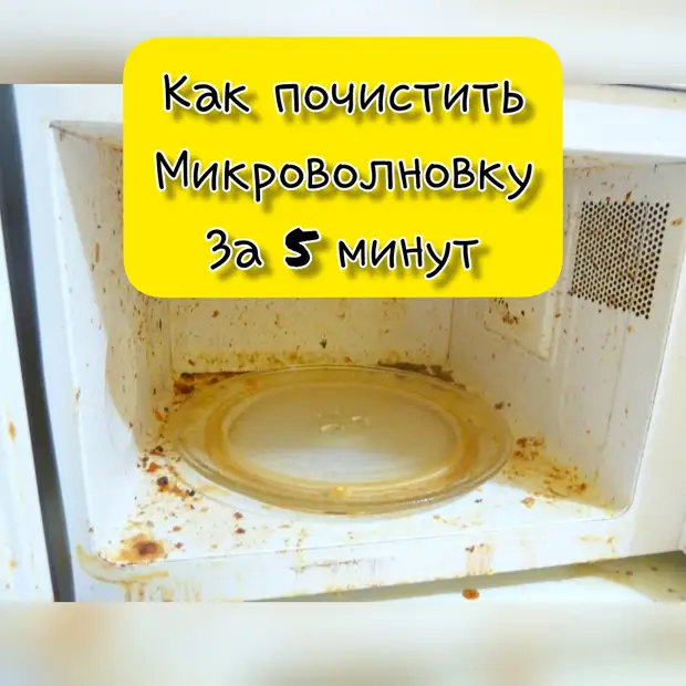 Как почистить микроволновку за 5 минут 6 способов - Обсуждение статьи ...