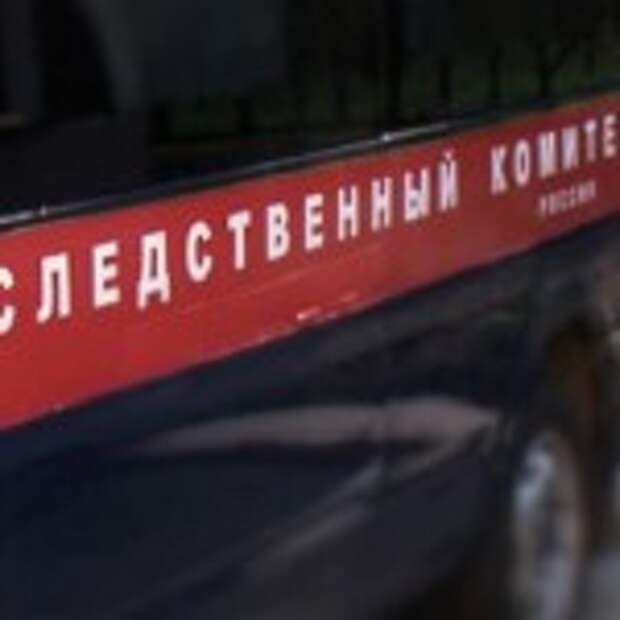 скачанные файлы
