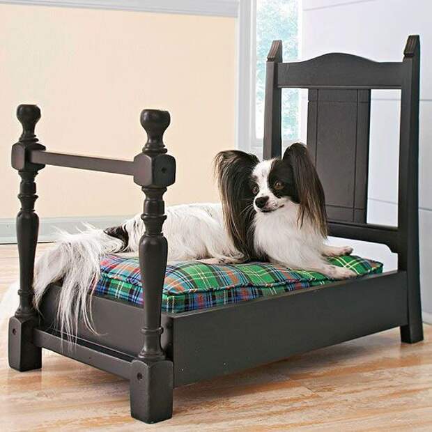 Кроватка для собаки из старого стула