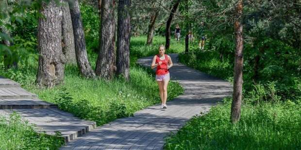 Врач: Укусы комаров могут приводить к появлению в организме паразитов. Фото: mos.ru