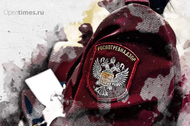 Роспотребнадзор обнаружил опасную шаурму в Советском районе Орла