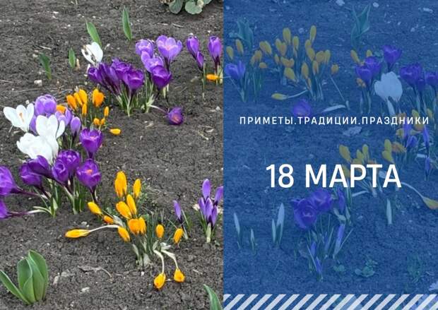 Приметы 18 марта: день Конона Огородника - время заботы о саде и огороде, но с осторожностью в делах