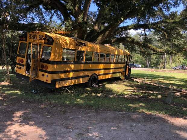В Луизиане 11-летний мальчик угнал школьный автобус и врезался на нем в дерево