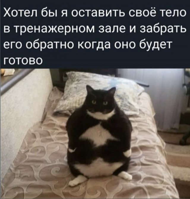 Юмор про спорт