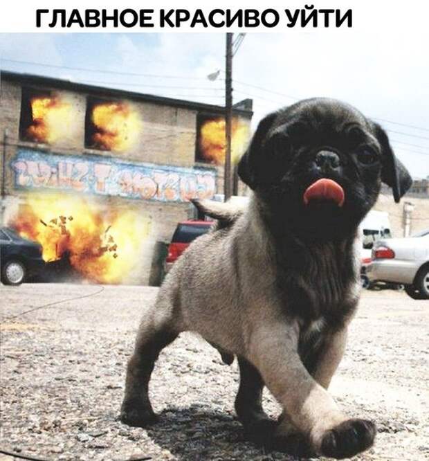 https://bugaga.ru/uploads/posts/2018-06/1530287484_fotomemy-10.jpg