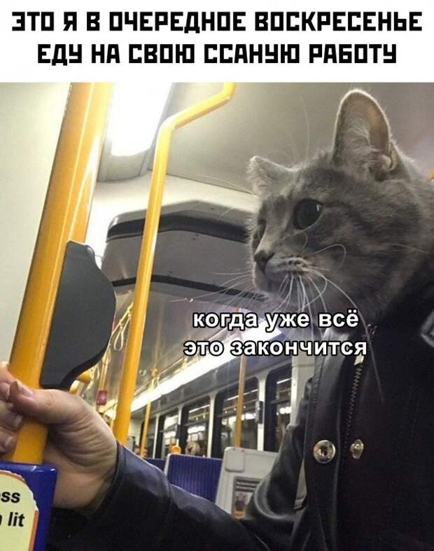 www.vsyako.net