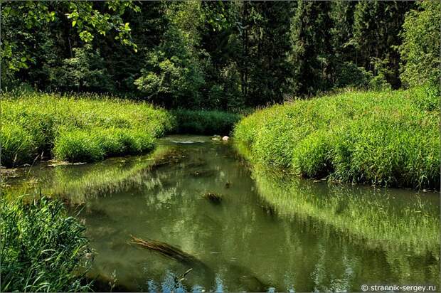 река Дубна зеленые берега луга