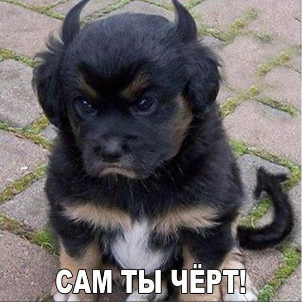 K9LiGgRG9ZU