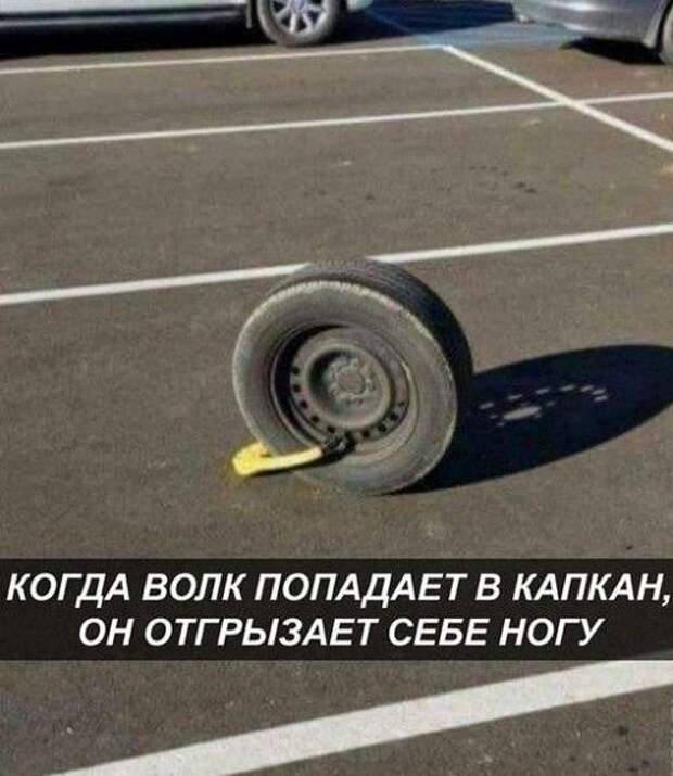 Подборка свежих мемов на пятницу