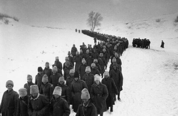 Romanian POWs from Battle of Stalingrad