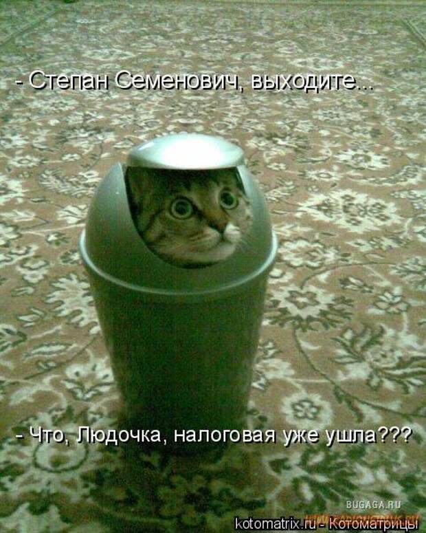 Уфф!!! Ну наконец-то! Котоматрицы великолепные, каждая с доброй улыбкой!!!