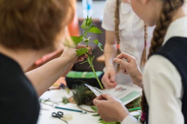 В самарском селе Шигоры открыли современный агротехнический класс В самарском селе Шигоры открыли современный агротехнический класс