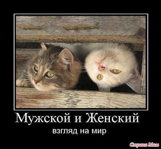 Картинки по запросу мужской и женский взгляд на жизнь