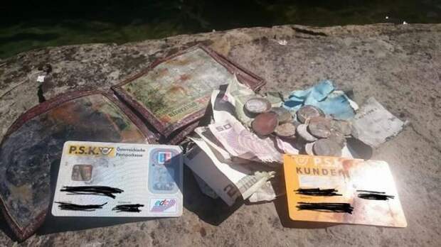 Пользователи похвастались своими неожиданными находками