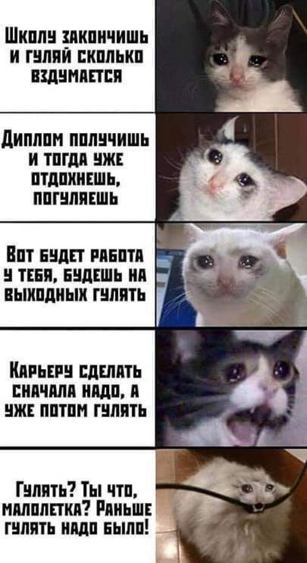 Жизненно...