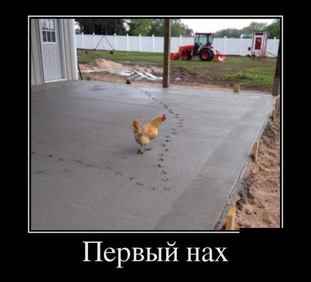 1477595046_11