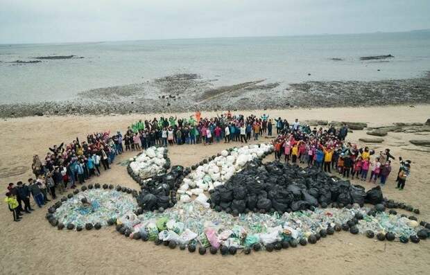 Черепаха из мусора, собранного на пляже planet, животные, люди, мир, подборка, природа, фото