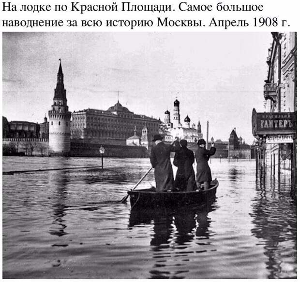 Смешные надписи к картинкам для веселья (10 фото) Смешные надписи к картинкам для веселья (10 фото)