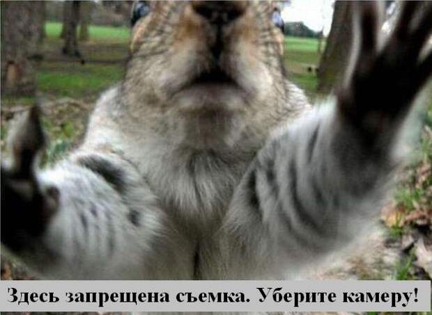 Мысли2 :) (50мыслей)