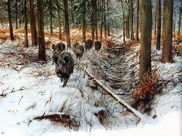 �������� ��� ���������.