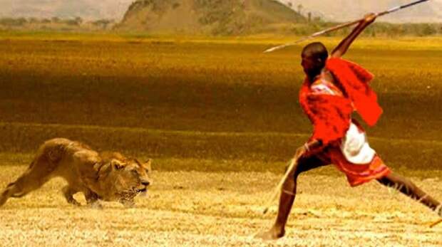 4. Масаи - охота на льва мир, ритуал, странность