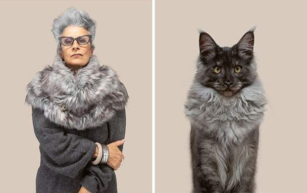 17 портретов кошек и людей, невероятно похожих друг на друга