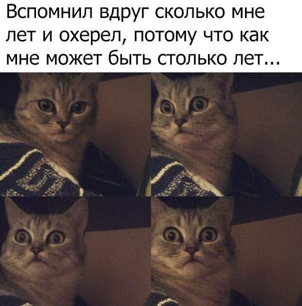 Смешные картинки с надписями для настроения (10 фото) Смешные картинки с надписями для настроения (10 фото)