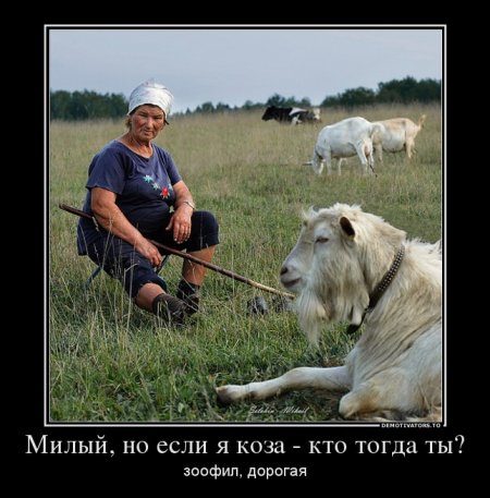 8 июня - День Козла, но празднуем с пятницы!