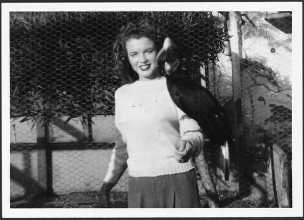 Норма Джин Мортенсон в зоопарке, с птицей на руке. Мерилин Монро, норма джин, ретро, фото