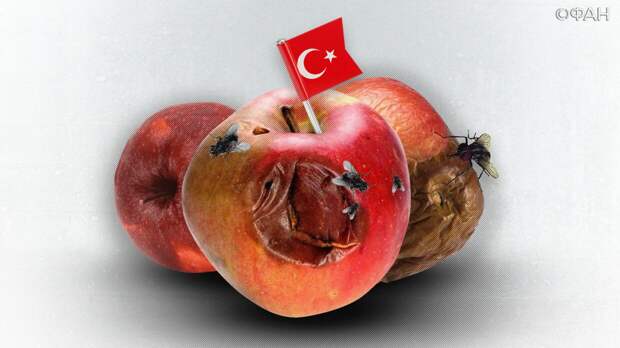 Экс-замглавы Минсельхоза рассказал об угрозе зараженных фруктов из Турции