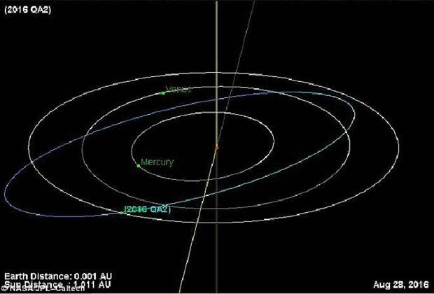 Траектория движения астероида, как ее представляют в НАСА. 