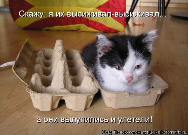 Мысли вслух :)