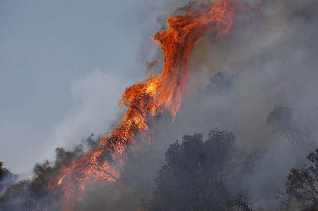 Ужасная красота пожаров в Калифорнии