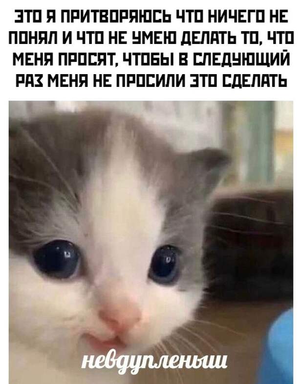 Смешные картинки 11 января 2022 года