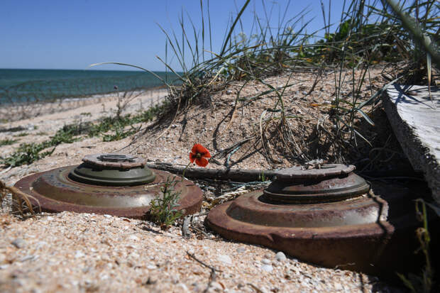 ВСУ начали применять мины с эффектом Доплера