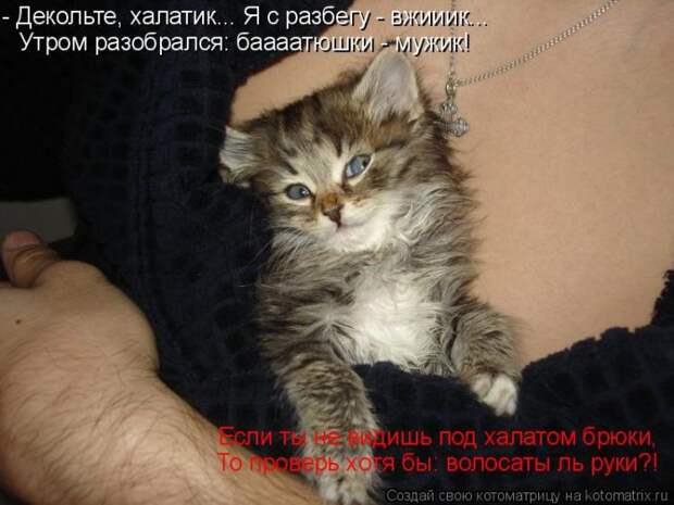 Лучшие котоматрицы недели Лучшие котоматрицы недели