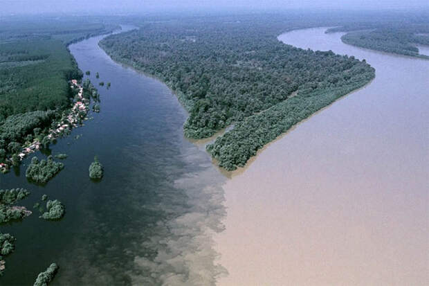 Слияние рек Драва и Дунай недалеко от города Осиек в Хорватии. контраст, природа, реки, слияние