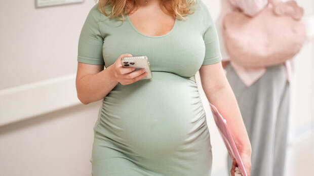 Пособие по беременности может составить более 1,1 млн рублей в 2027 году