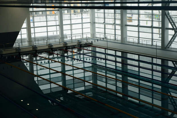 Федерация водного поло Украины призвала отменить матч с россиянами