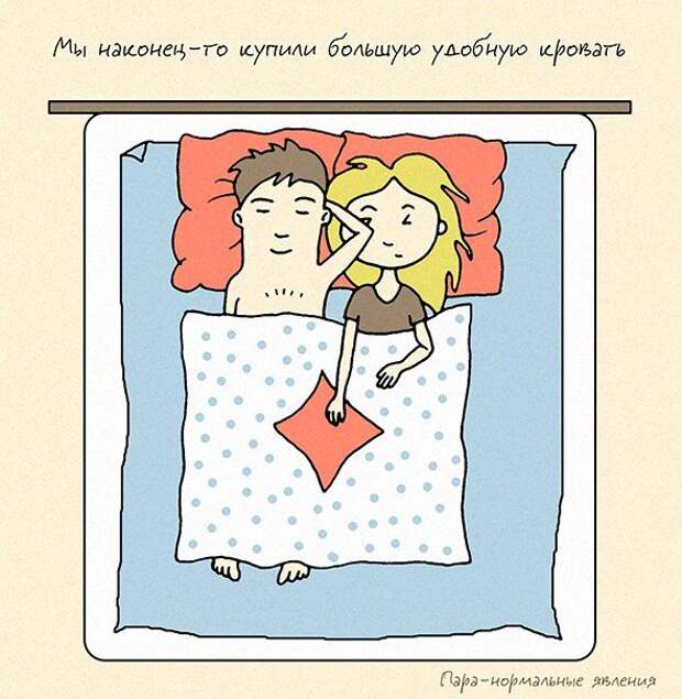 Семейная жизнь в картинках