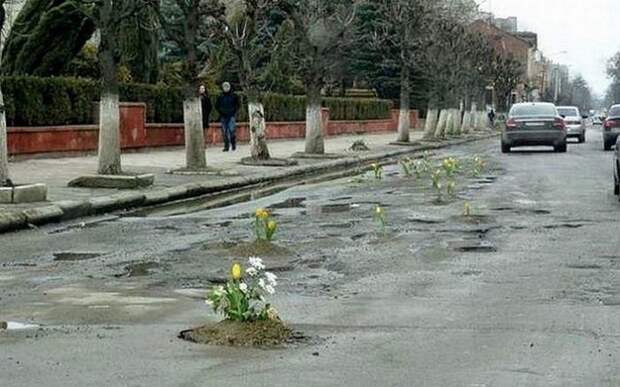 Удивительные вещи, которые можно увидеть на дороге Удивительные вещи, которые можно увидеть на дороге