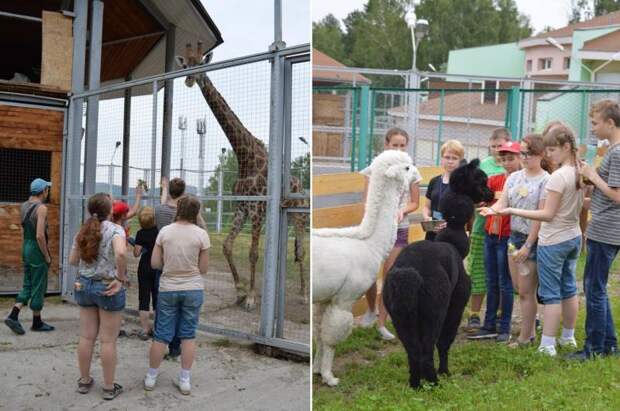 Составлен рейтинг лучших зоопарков России