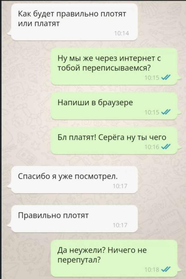 Плотят или платят как правильно говорят. Переписки. плотить или платить как правильно. комментарии соцсетей. плотят или платят.
