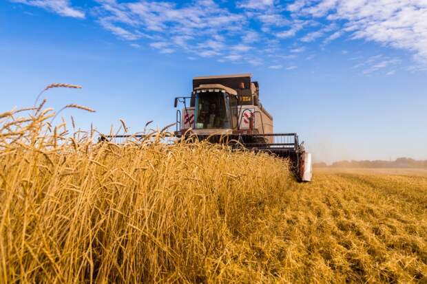 ВТБ выдал сельхозпроизводителям 520 млрд рублей в 2025 году